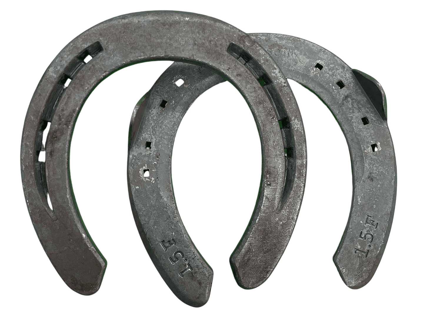 Sporthorse 4 Front Side Clipped (Sold as Pairs)