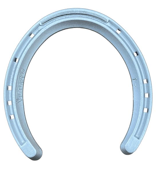 Victory Queens Hind Plain 5 (se vende como un juego, 2 pares)