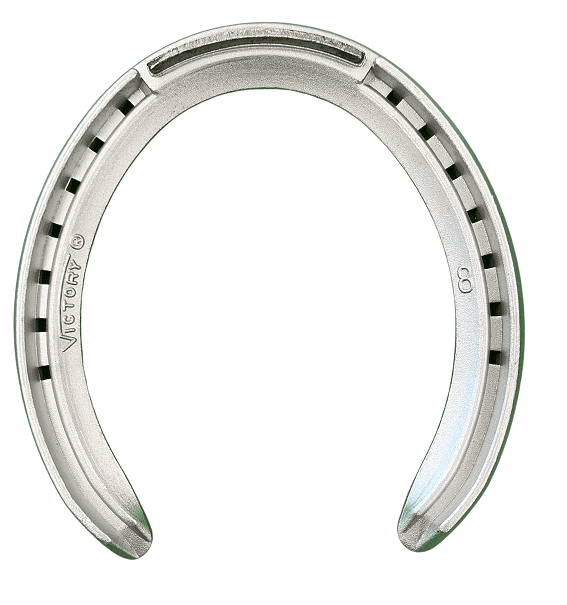 Llanta exterior Victory 8 (se vende por pares)