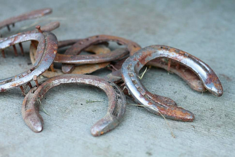 Steel Horseshoes