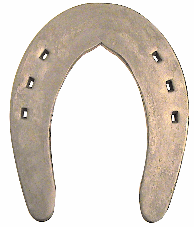 Curseur de fierté 1/4" x 1 1/4" -11