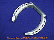 World Racing Plate Front 6 (Sold as a Set - 2 Pair)